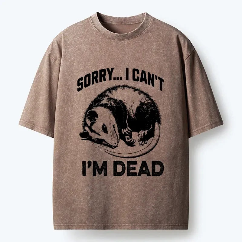 kyoto lion washed t shirt for gift