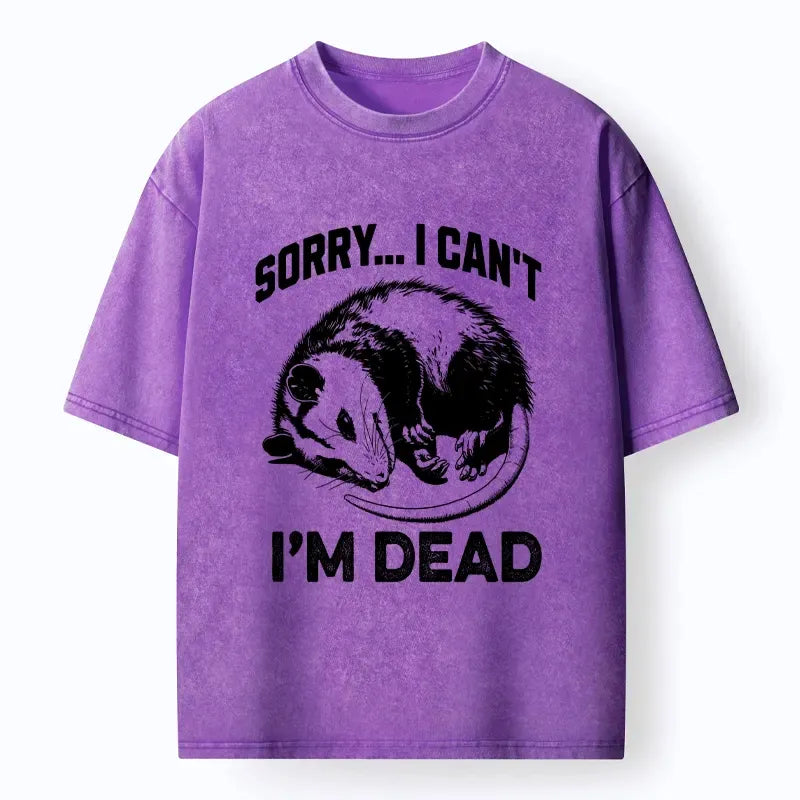 Kyoto-Lion Funny Opossum Playing Dead Washed T-Shirt