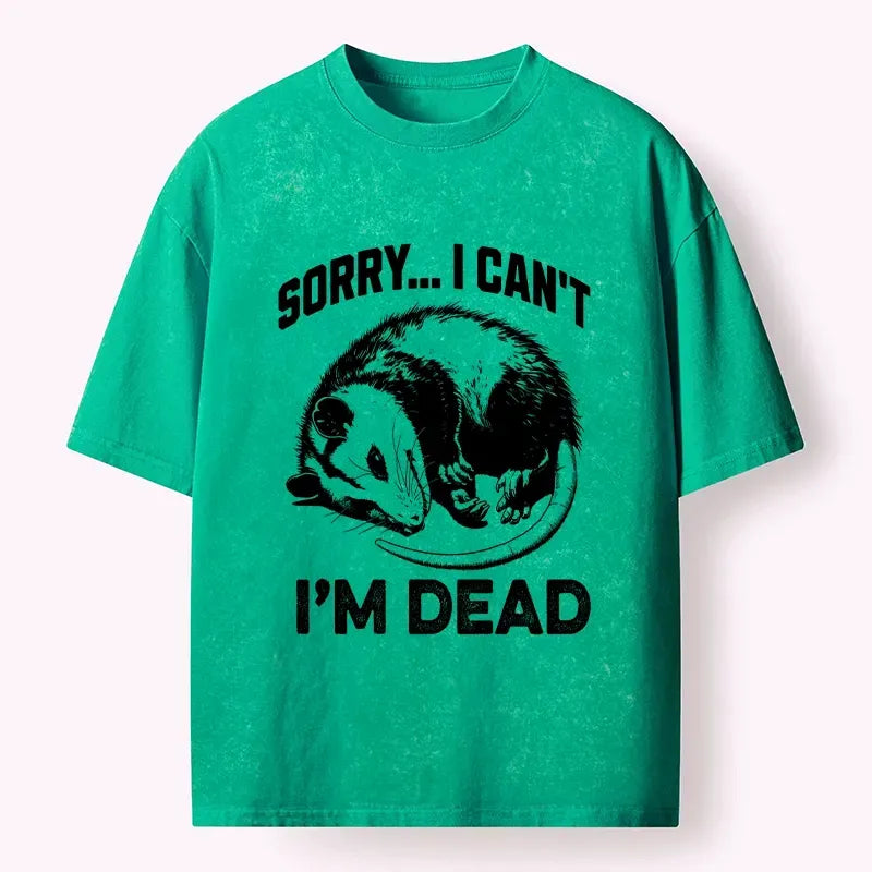 Kyoto-Lion Funny Opossum Playing Dead Washed T-Shirt