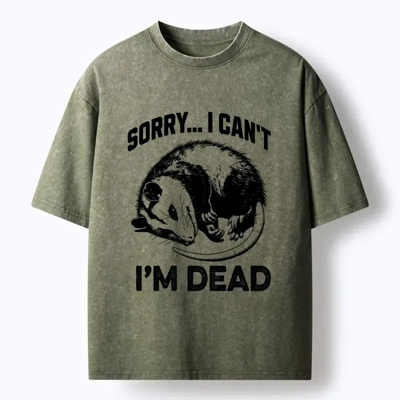 kyoto lion washed t shirt for gift