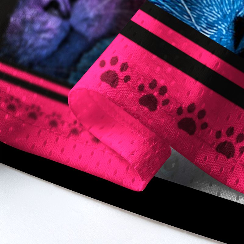 Kyoto-Lion Curious Rainbow Cats Mesh Jersey
