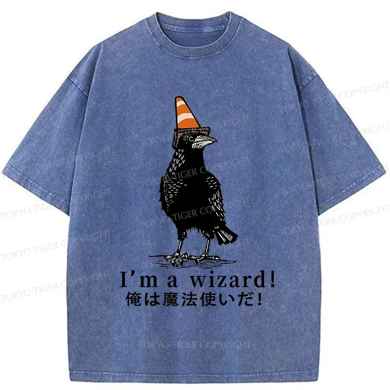 Kyoto-Lion Magic Crow Washed T-Shirt