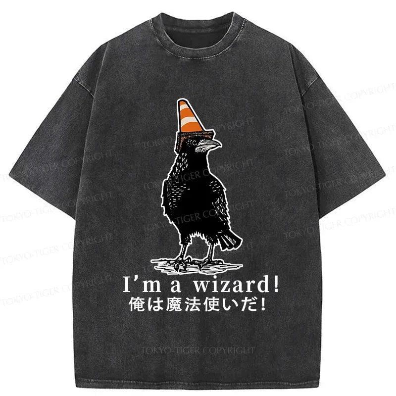 Kyoto-Lion Magic Crow Washed T-Shirt