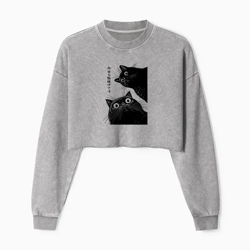 kyoto lion cat watching sweatshirt daily wear