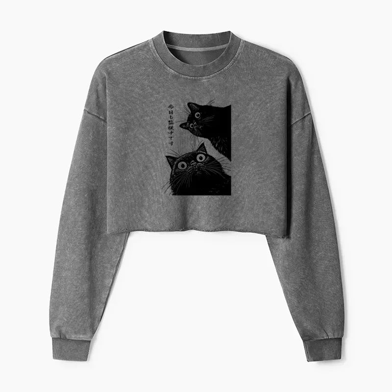 kyoto lion cat watching sweatshirt daily wear