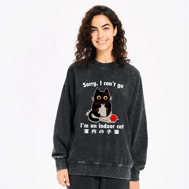 Kyoto-Lion Indoor Cat Meme Washed Sweatshirt