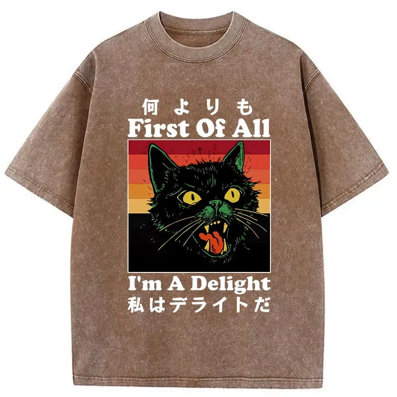Kyoto-Lion I'm A Delight Washed T-Shirt