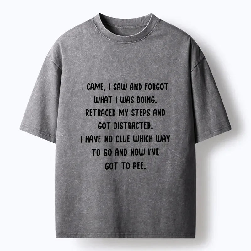 Kyoto-Lion Forgot What I Was Doing Washed T-Shirt