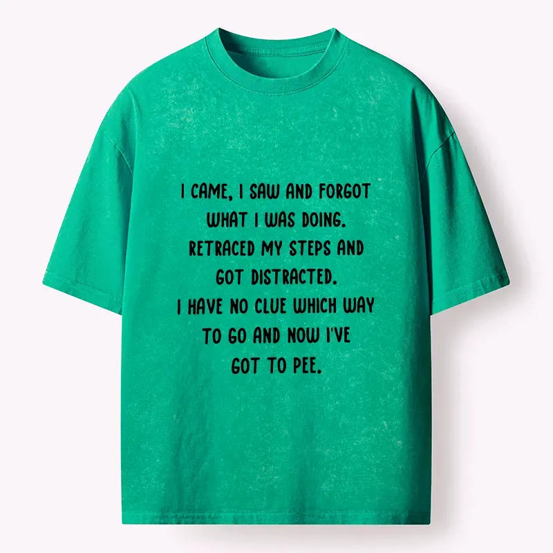 Kyoto-Lion Washed T-Shirt on Sale