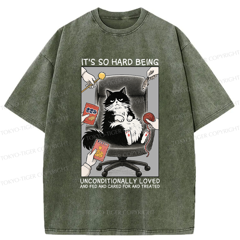 Funny Spoiled Cat Meme T-Shirt for Gift Idea