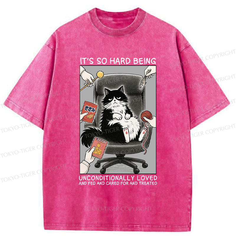 Funny Spoiled Cat Meme T-Shirt for Gift Idea