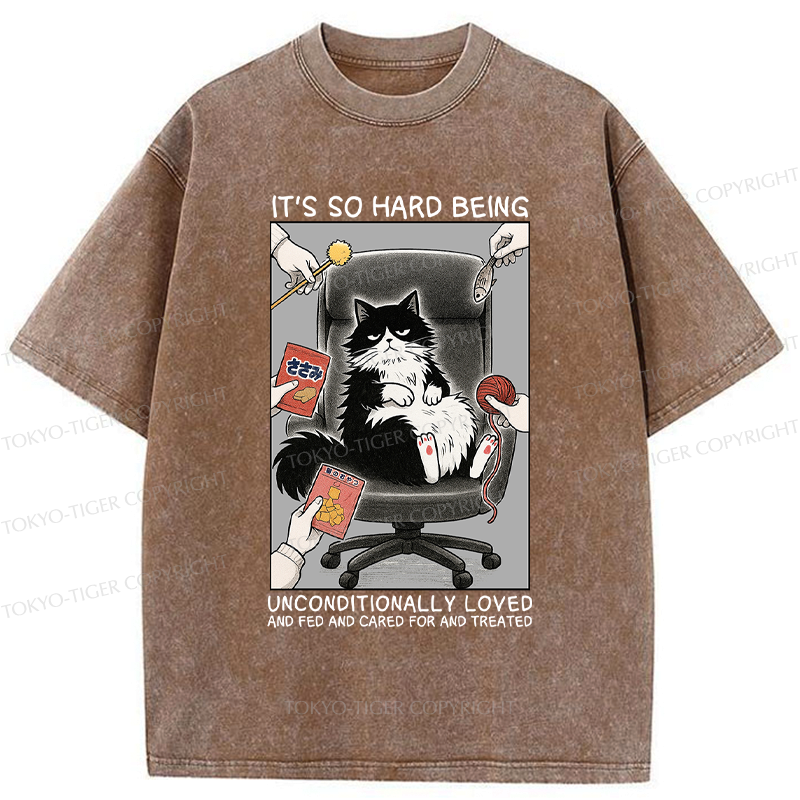 Funny Spoiled Cat Meme T-Shirt for Gift Idea