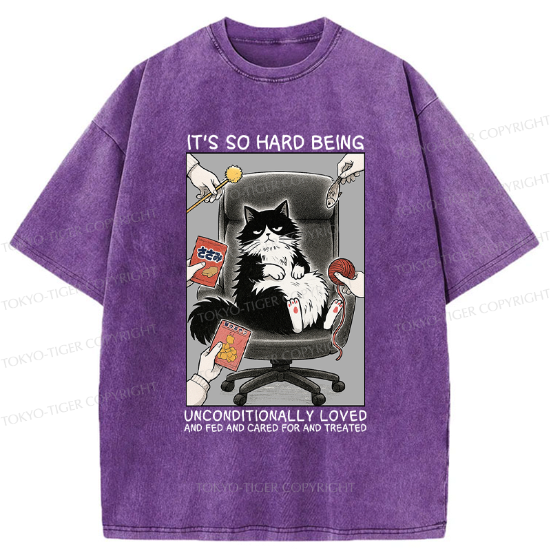 Funny Spoiled Cat Meme T-Shirt for Gift Idea