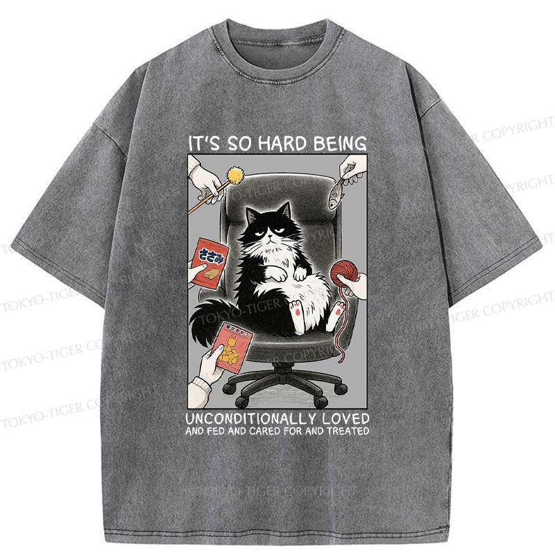 Funny Spoiled Cat Meme T-Shirt for Gift Idea