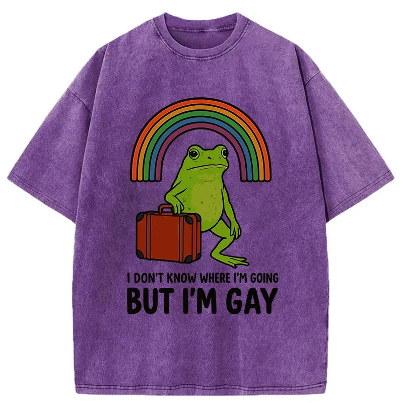 Japanese Frog T-Shirt for Daily Wear