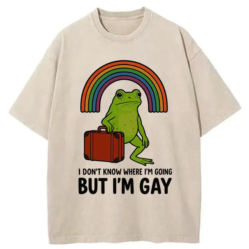 Kyoto-Lion I Dont Know Frog Washed T-Shirt