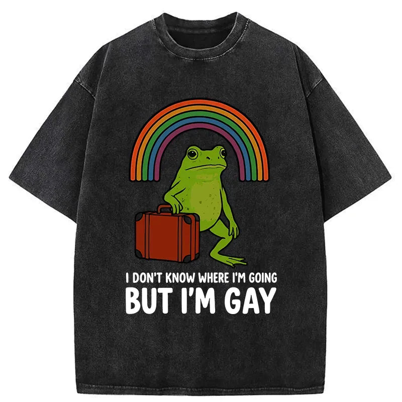 Kyoto-Lion I Dont Know Frog Washed T-Shirt