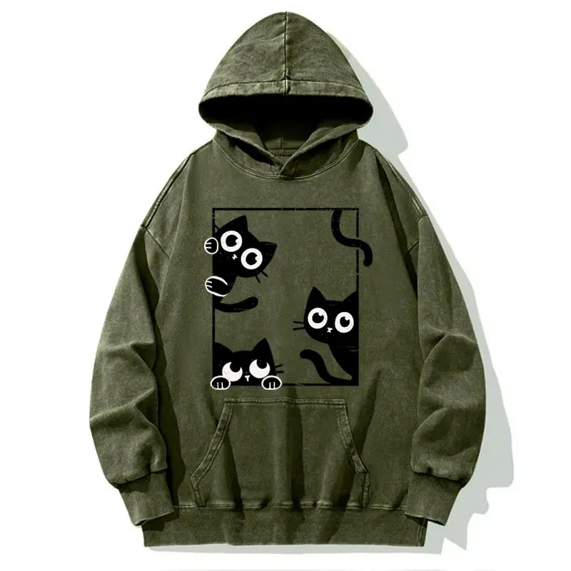 Kyoto-Lion Looking At Your Cats Washed Hoodie