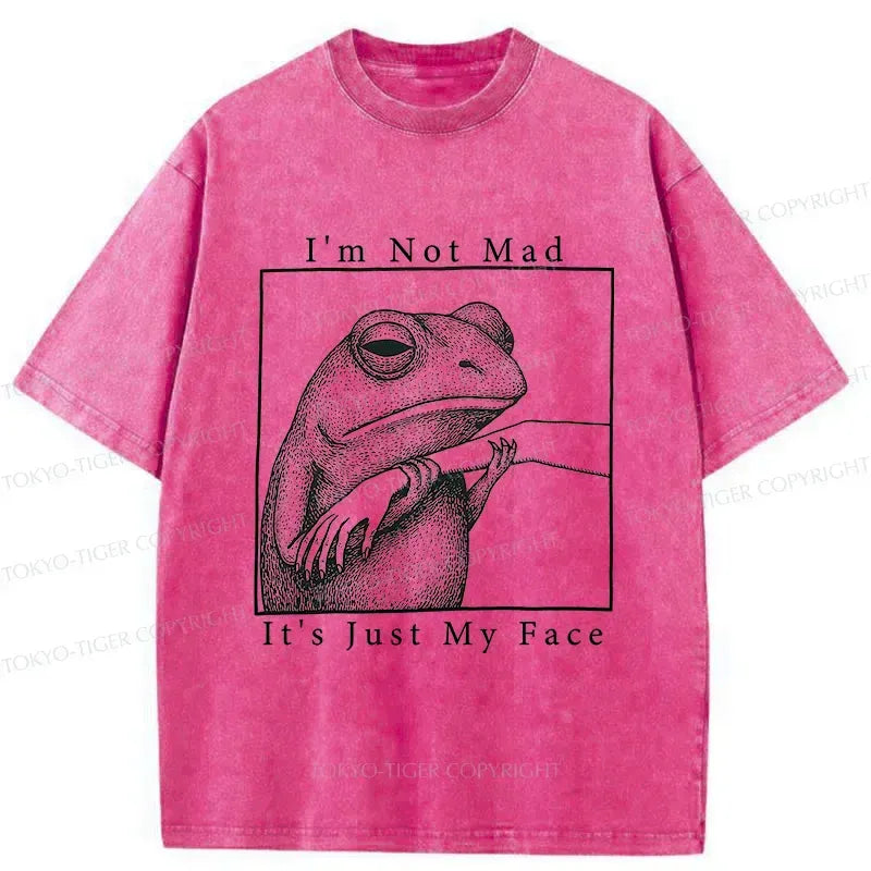 Kyoto-Lion Expressionless Frog Washed T-Shirt