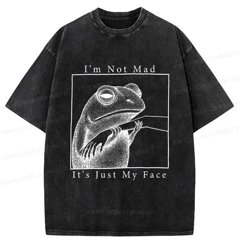 Japanese Vintage Frog T-Shirt for Summer
