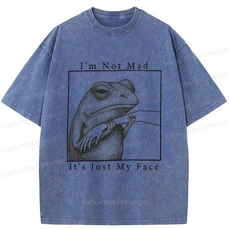 Kyoto-Lion Expressionless Frog Washed T-Shirt