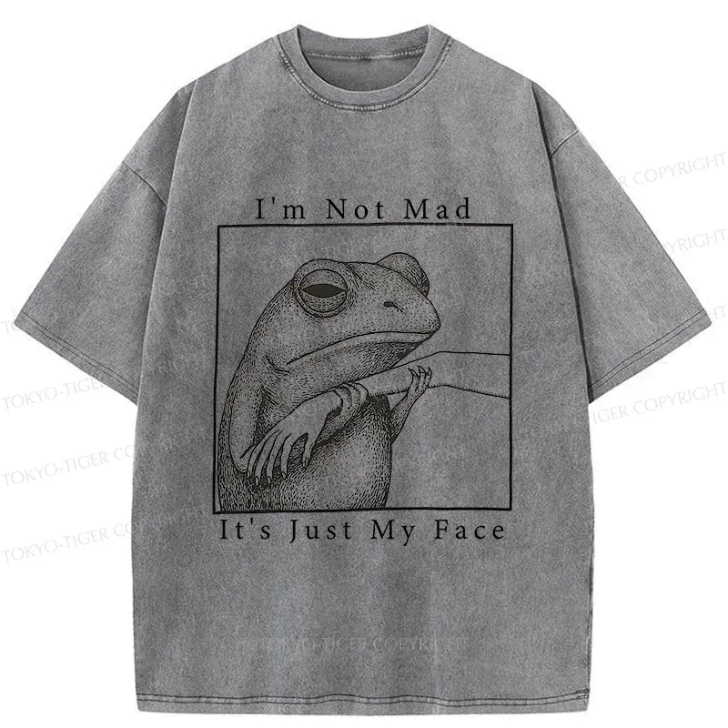 Kyoto-Lion Expressionless Frog Washed T-Shirt