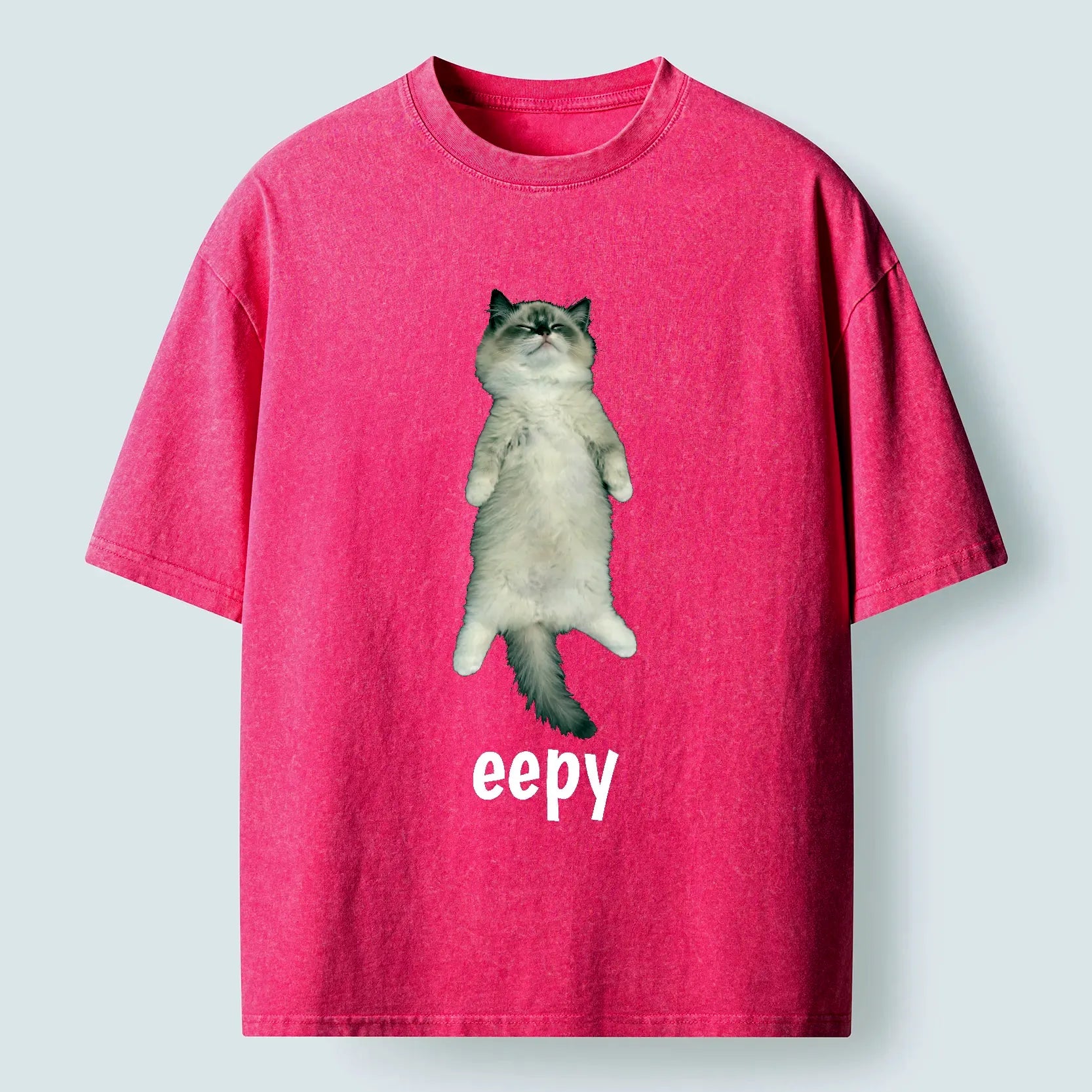 kyoto cat t-shirt for gift