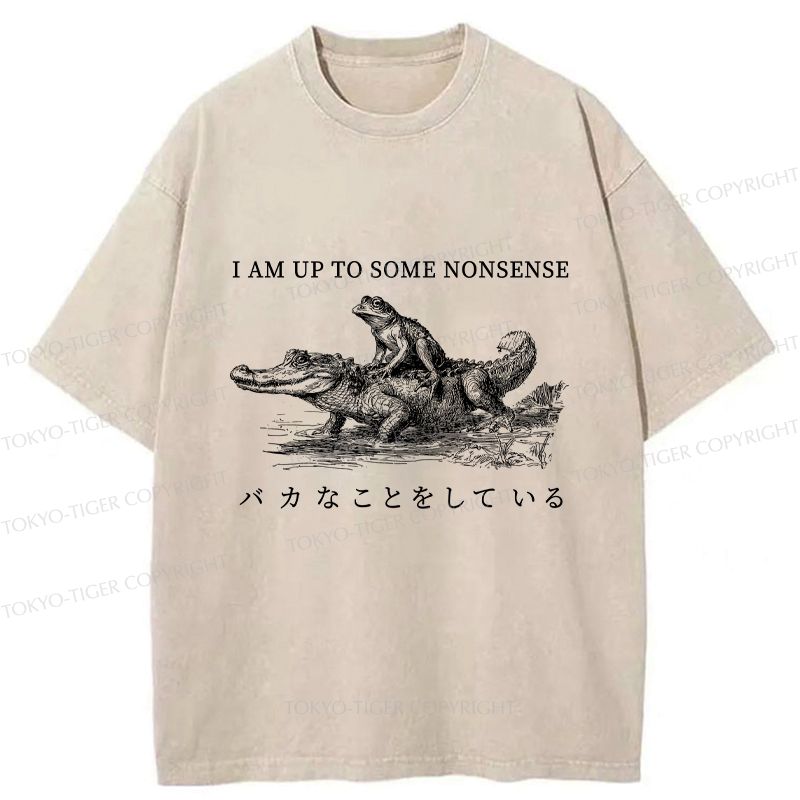 Kyoto-Lion I Am Up To Some Nonsense Frog Vintage Washed T-Shirt