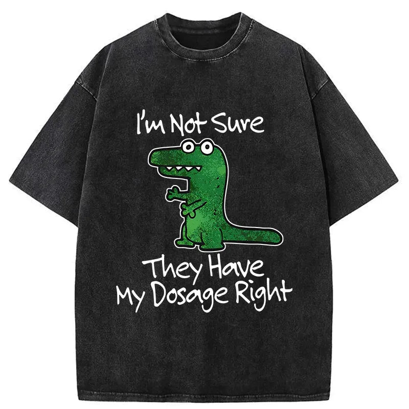 sarcastic dinosaur meme washed t-shirt