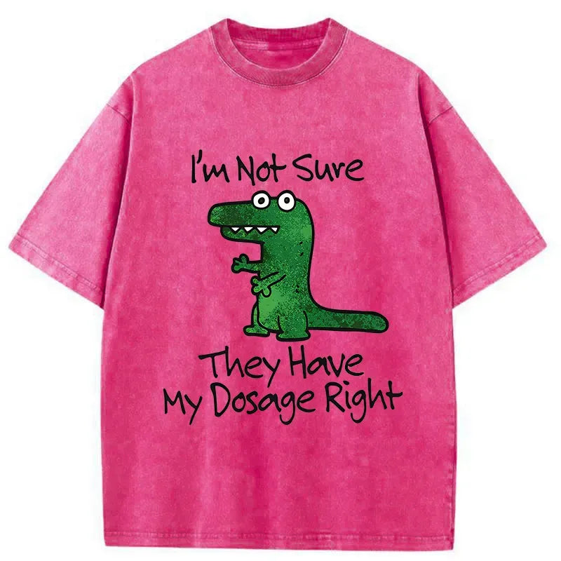 Kyoto-Lion Dinosaur Meme Sarcastic Ironic Washed T-Shirt