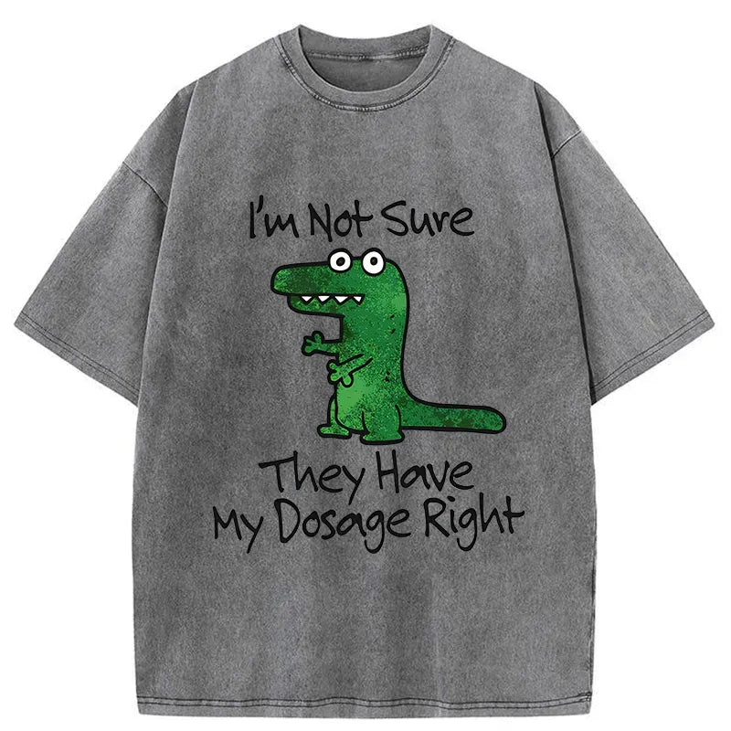 ironic dinosaur shirt gift idea