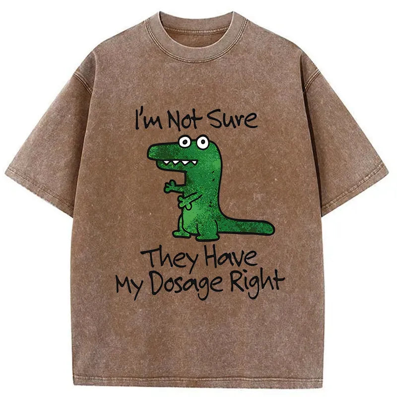 sarcastic dinosaur meme washed t-shirt