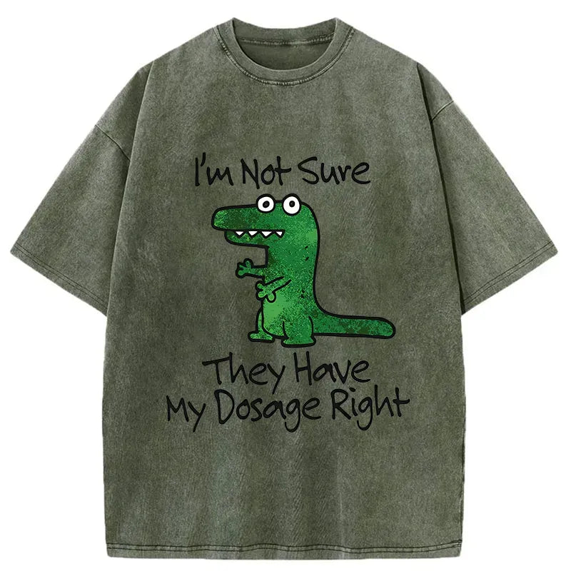 sarcastic dinosaur meme washed t-shirt