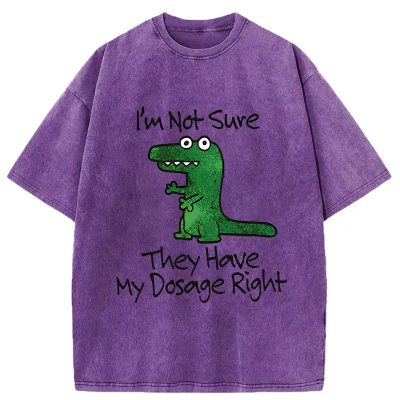 ironic dinosaur shirt gift idea