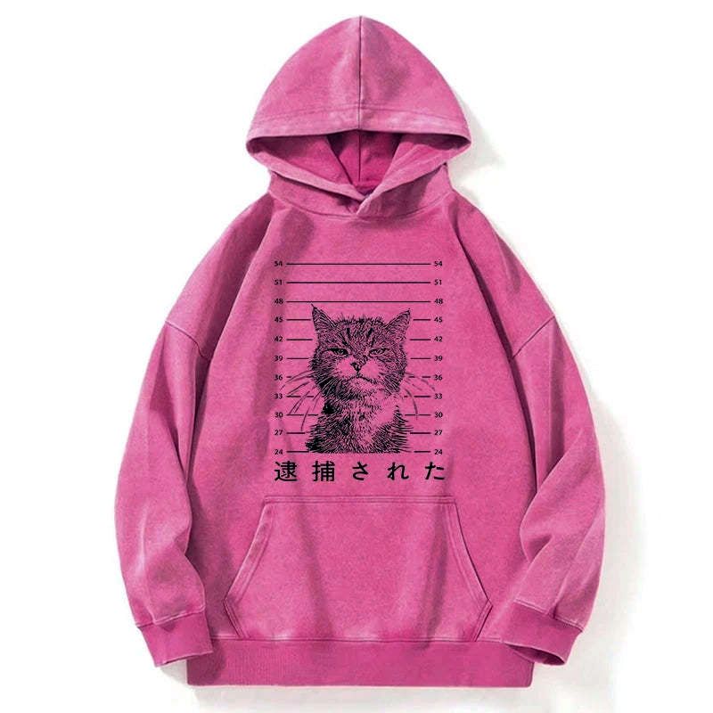 Kyoto-Lion Cat That Was Arrested Washed Hoodie