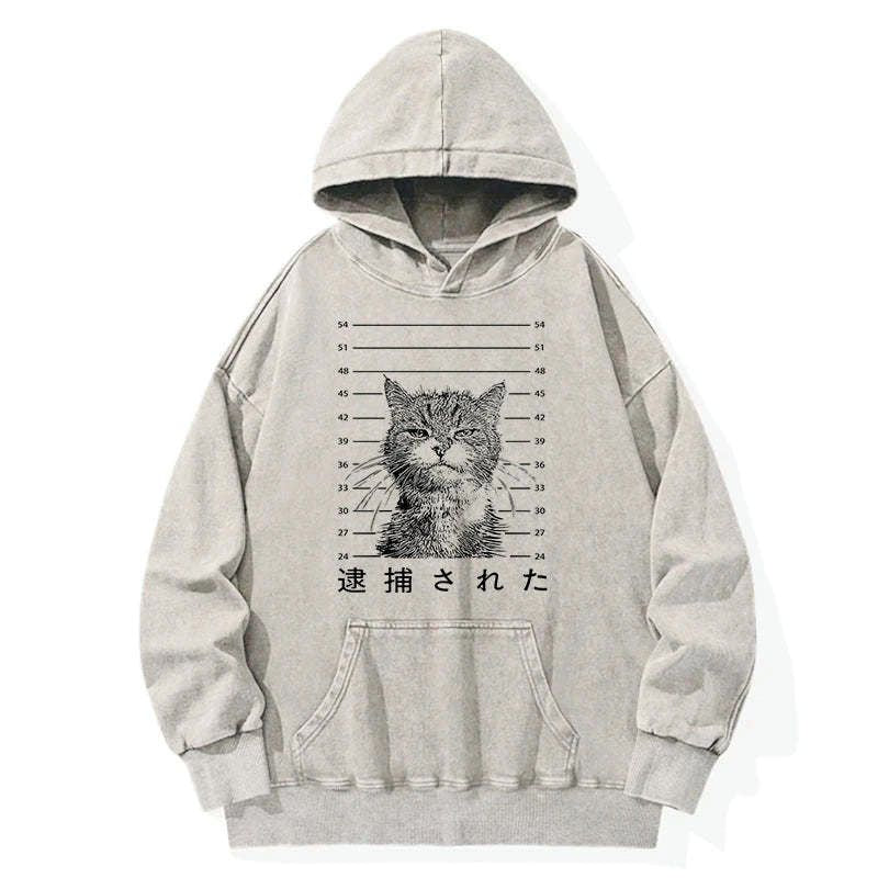 japanese washed unisex hoodie