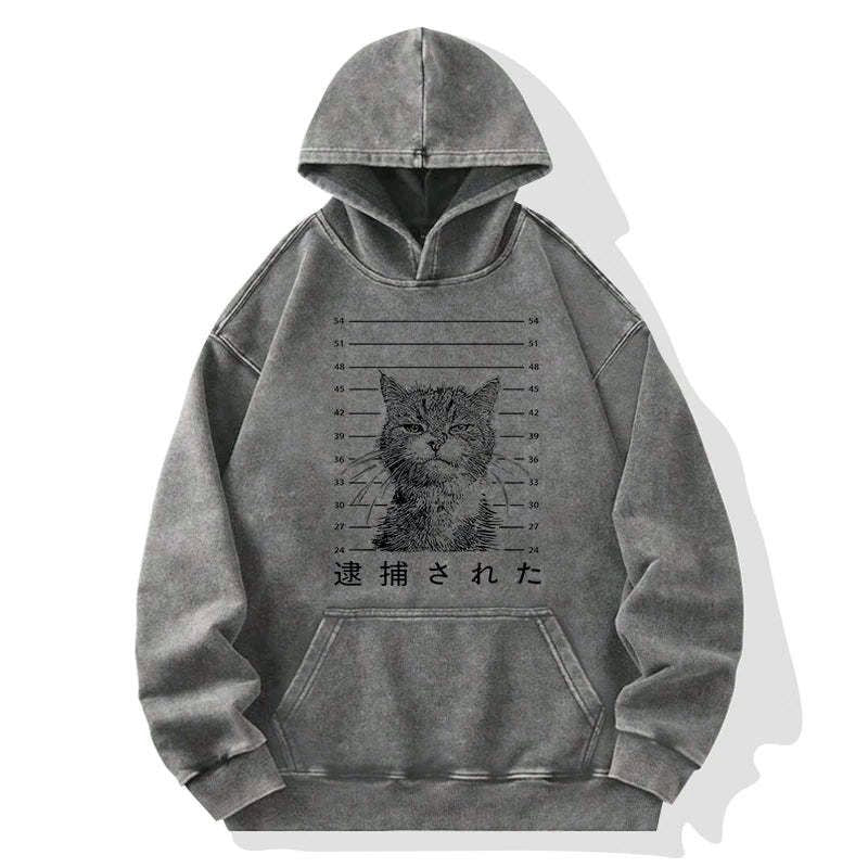 kyoto cat hoodie gift idea