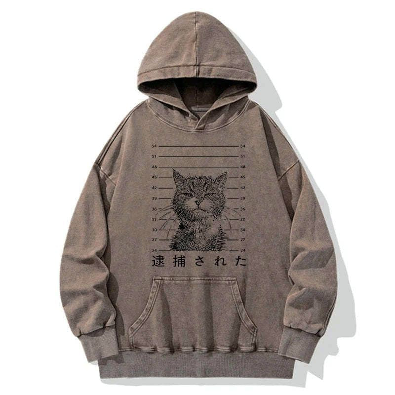 soft unisex hoodie with japanese print