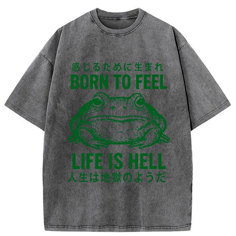 kyoto lion funny frog tee gift for him