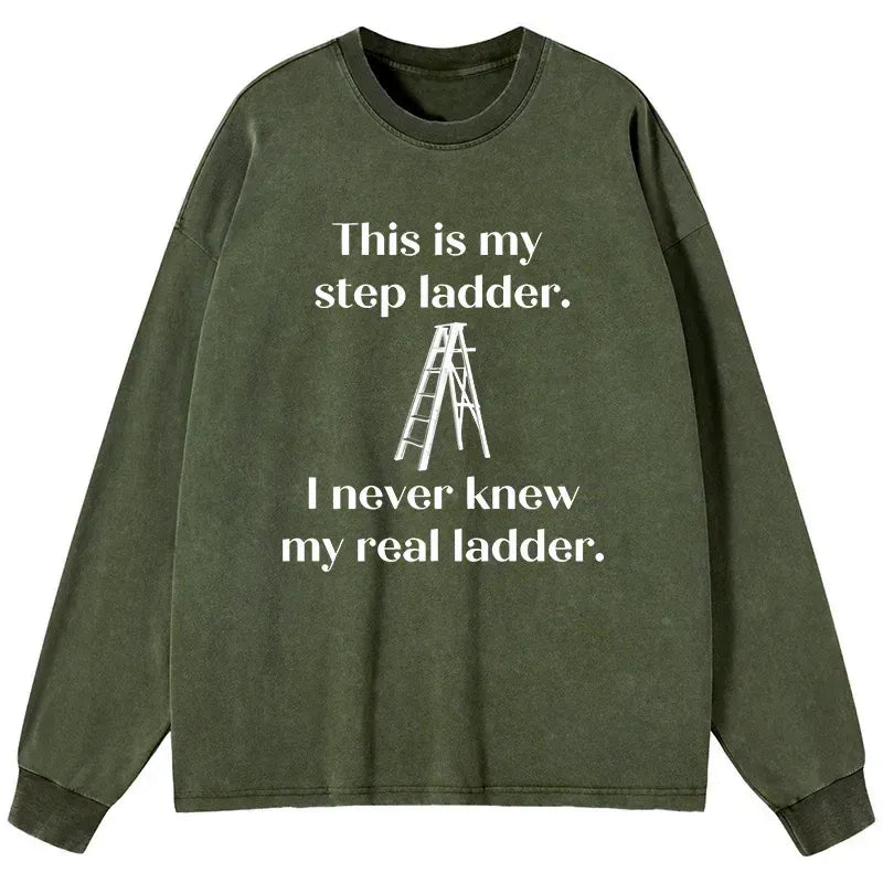 Kyoto-Lion A Real Ladder Funny Washed Long Sleeve T-Shirt