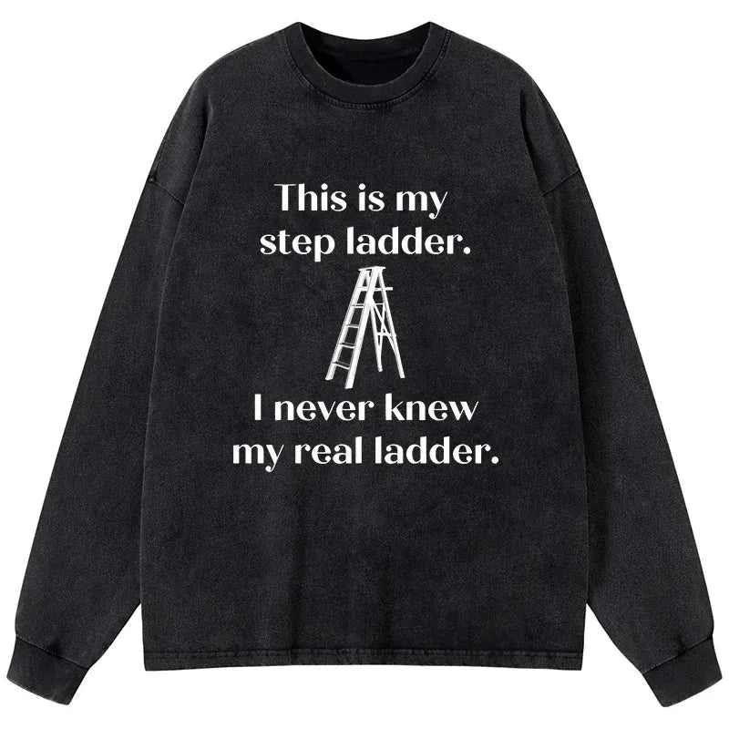 Kyoto-Lion A Real Ladder Funny Washed Long Sleeve T-Shirt