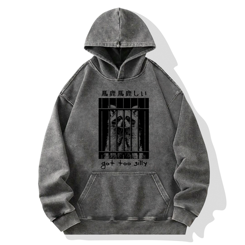 kyoto lion raccoon washed hoodie
