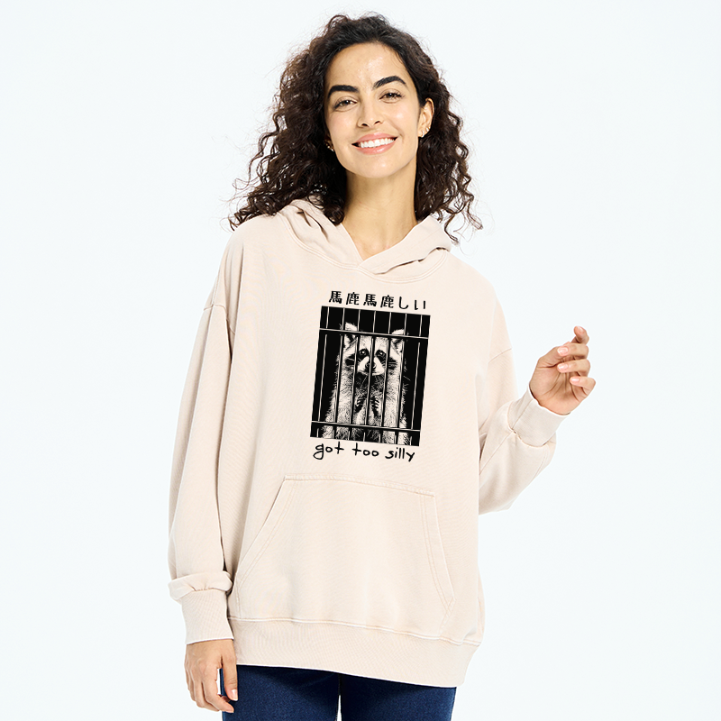 kyoto lion raccoon washed hoodie