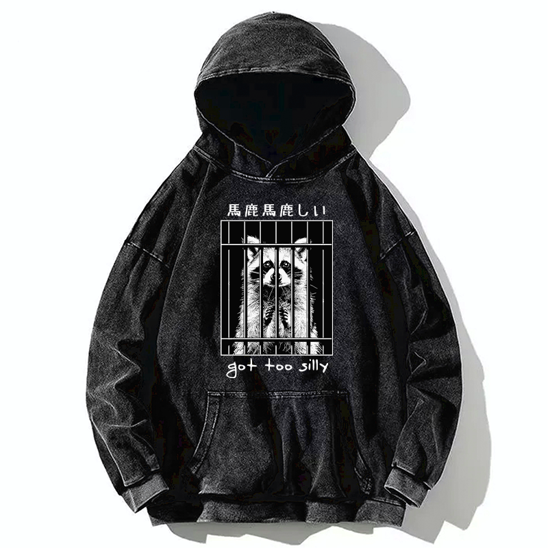 Kyoto-Lion Raccoon Got Too Silly Washed Hoodie