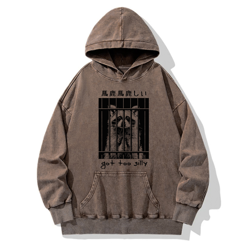Kyoto-Lion Raccoon Got Too Silly Washed Hoodie