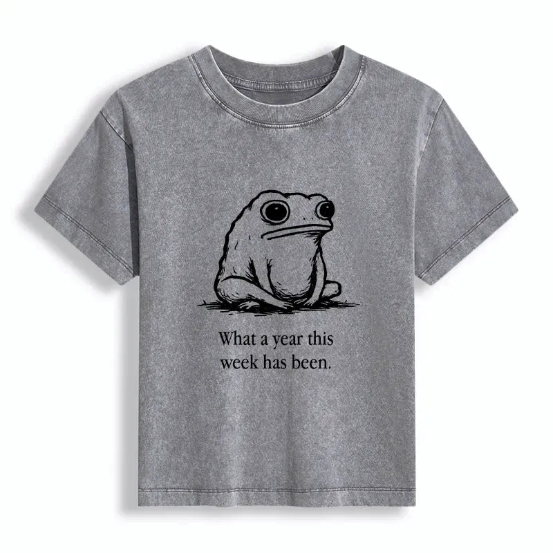 Kyoto-Lion This Week Feels Like A Whole Year Women's Washed T-shirt