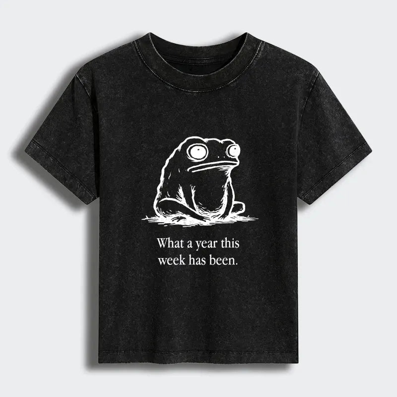 Kyoto-Lion This Week Feels Like A Whole Year Women's Washed T-shirt