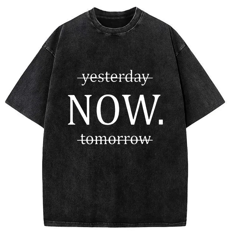 Kyoto Lion Washed T-Shirt for Daily Wear
