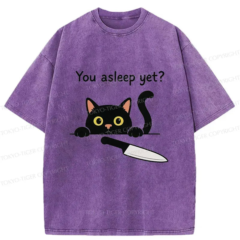 Kyoto-Lion Cat With Murderous Intent Washed T-Shirt
