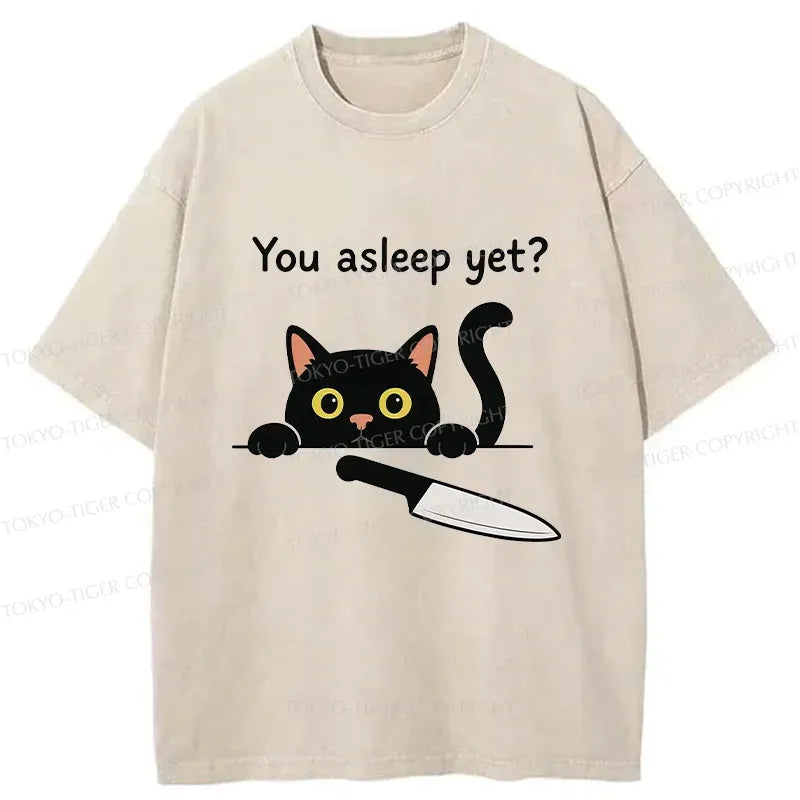 Kyoto-Lion Cat With Murderous Intent Washed T-Shirt